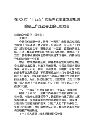在XX市“十五五”市级养老事业发展规划编制工作座谈会上的汇报发言