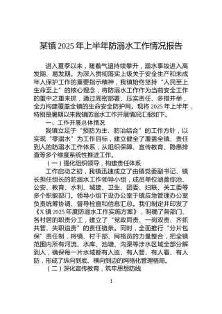 某镇2025年上半年防溺水工作情况报告