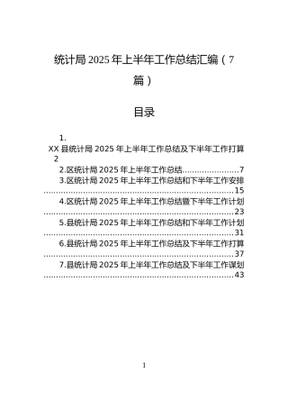 统计局2025年上半年工作总结汇编（7篇）