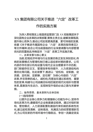 XX集团有限公司关于推进“六定”改革工作的实施方案