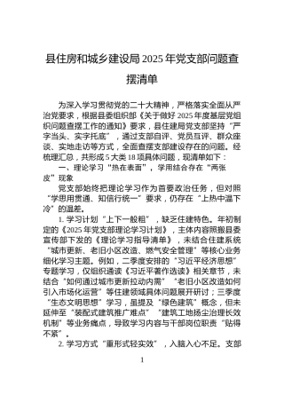县住房和城乡建设局2025年党支部问题查摆清单