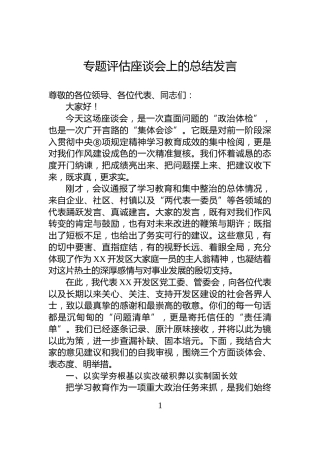 专题评估座谈会上的总结发言