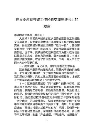 在县委巡察整改工作经验交流座谈会上的发言