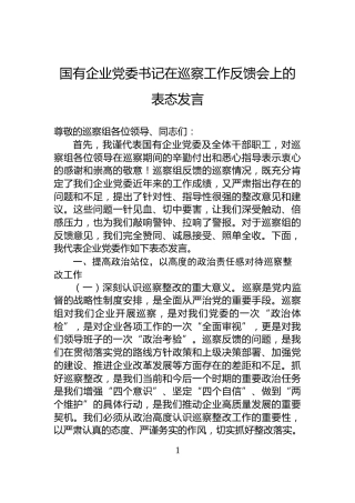 国有企业党委书记在巡察工作反馈会上的表态发言