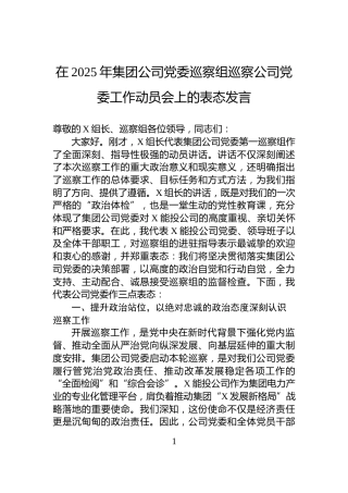 在2025年集团公司党委巡察组巡察公司党委工作动员会上的表态发言