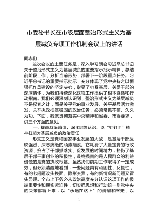 市委秘书长在市级层面整治形式主义为基层减负专项工作机制会议上的讲话