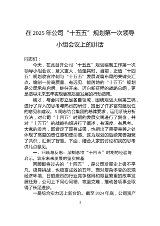 在2025年公司“十五五”规划第一次领导小组会议上的讲话