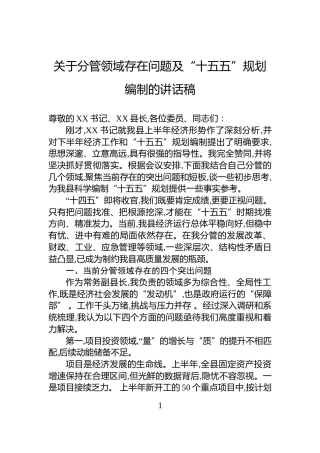 关于分管领域存在问题及“十五五”规划编制的讲话稿