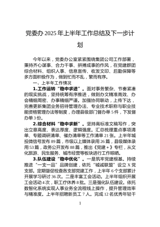 党委办2025年上半年工作总结及下一步计划