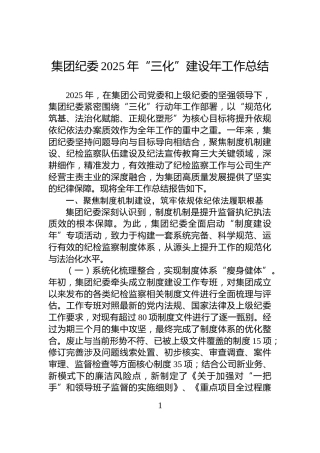 集团纪委2025年“三化”建设年工作总结