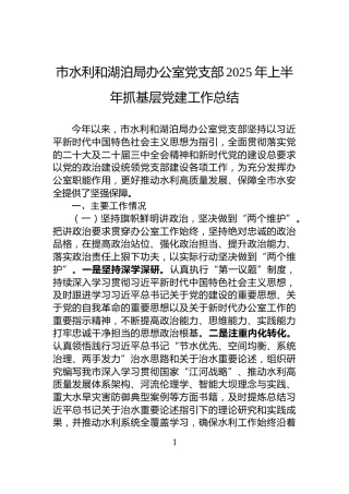 市水利和湖泊局办公室党支部2025年上半年抓基层党建工作总结