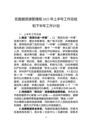 区数据资源管理局2025年上半年工作总结和下半年工作计划