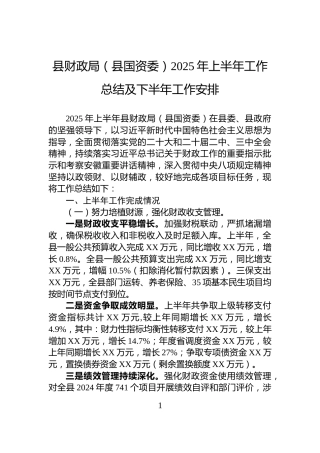 县财政局（县国资委）2025年上半年工作总结及下半年工作安排