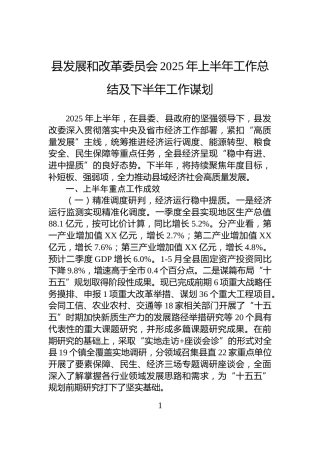 县发展和改革委员会2025年上半年工作总结及下半年工作谋划