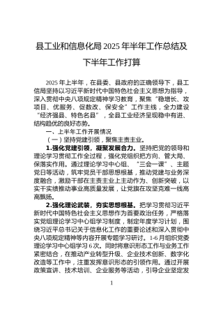 县工业和信息化局2025年半年工作总结及下半年工作打算