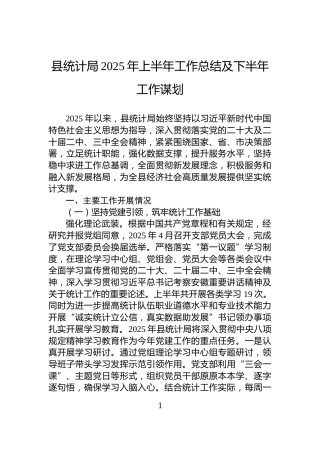 县统计局2025年上半年工作总结及下半年工作谋划