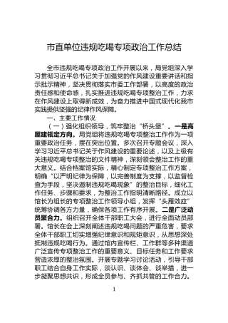 市直单位违规吃喝专项政治工作总结