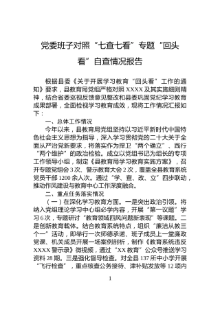 党委班子对照“七查七看”专题“回头看”自查情况报告