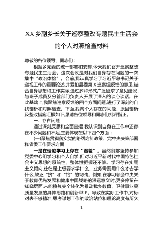 XX乡副乡长关于巡察整改专题民主生活会的个人对照检查材料
