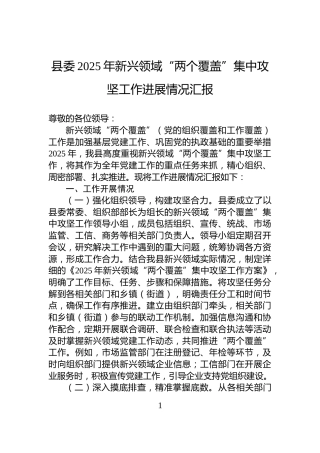 县委2025年新兴领域“两个覆盖”集中攻坚工作进展情况汇报