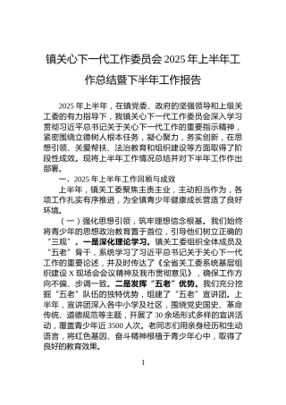 镇关心下一代工作委员会2025年上半年工作总结暨下半年工作报告