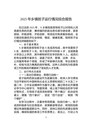 2025年乡镇班子运行情况综合报告