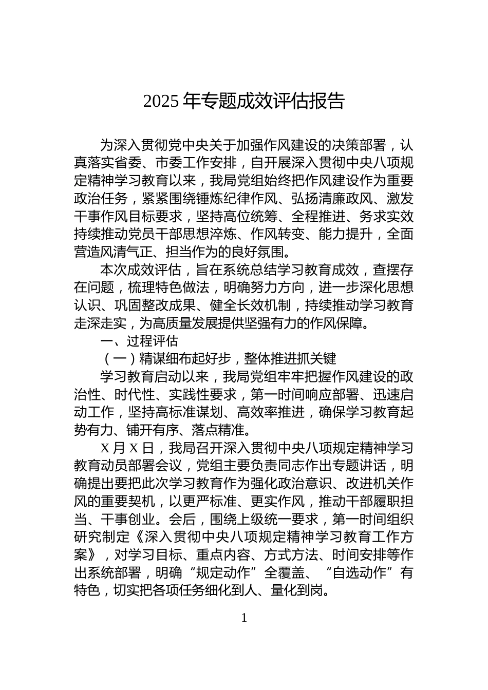 2025年专题成效评估报告_第1页