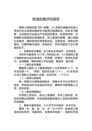 街道自查评估报告