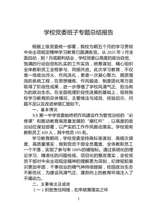 学校党委班子专题总结报告