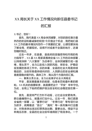 XX局长关于XX工作情况向新任县委书记的汇报