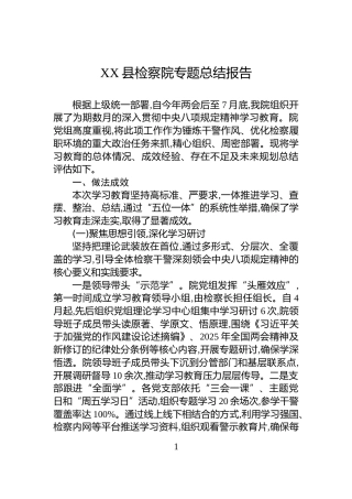 XX县检察院专题总结报告