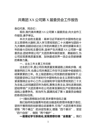 共青团XX公司第X届委员会工作报告