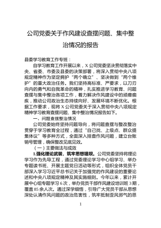 公司党委关于作风建设查摆问题、集中整治情况的报告