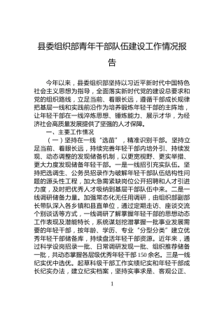 县委组织部青年干部队伍建设工作情况报告