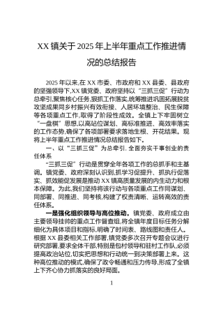 XX镇关于2025年上半年重点工作推进情况的总结报告