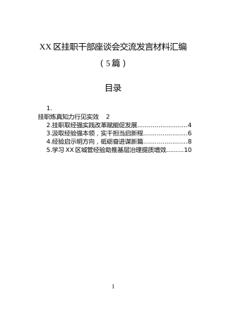 XX区挂职干部座谈会交流发言材料汇编（5篇）
