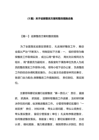 关于巡察整改方案和整改措施汇编（5篇）