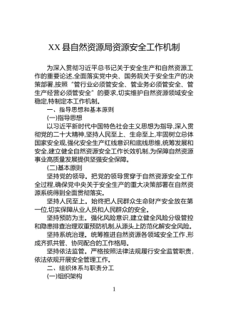 XX县自然资源局资源安全工作机制
