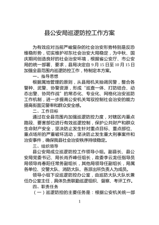 县公安局巡逻防控工作方案