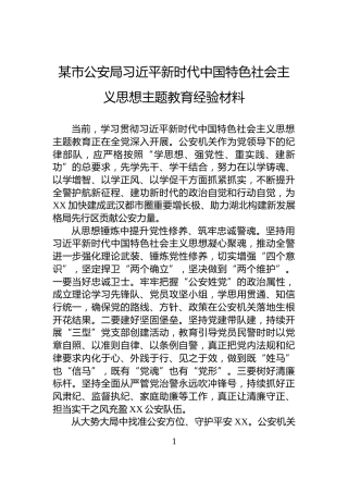 某市公安局习近平新时代中国特色社会主义思想主题教育经验材料