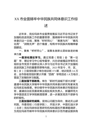 XX市全面铸牢中华民族共同体意识工作综述