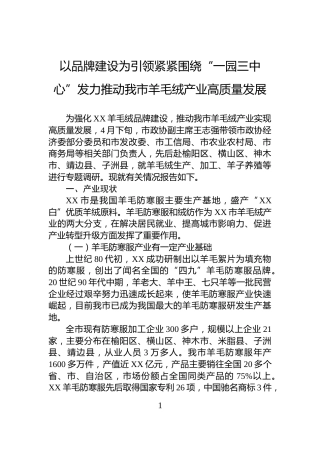 以品牌建设为引领紧紧围绕“一园三中心”发力推动我市羊毛绒产业高质量发展