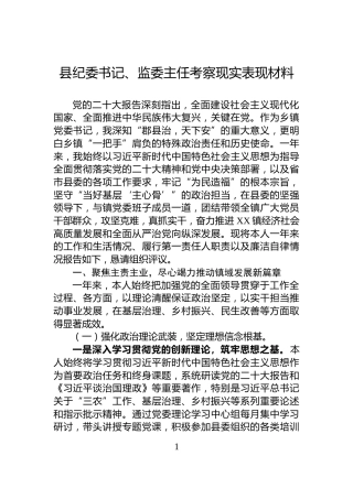 县纪委书记、监委主任考察现实表现材料