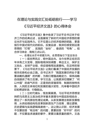在理论与实践交汇处砥砺前行——学习《习近平经济文选》的心得体会