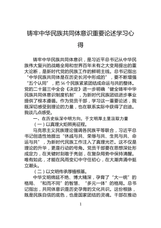 铸牢中华民族共同体意识重要论述学习心得