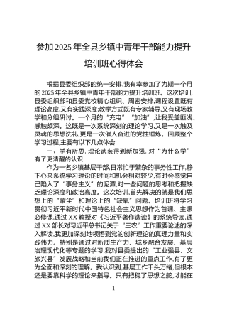 参加2025年全县乡镇中青年干部能力提升培训班心得体会