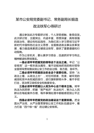 某市公安局党委副书记、常务副局长锻造政法铁军心得研讨