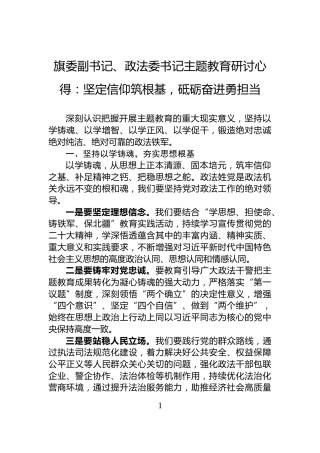 旗委副书记、政法委书记主题教育研讨心得：坚定信仰筑根基，砥砺奋进勇担当
