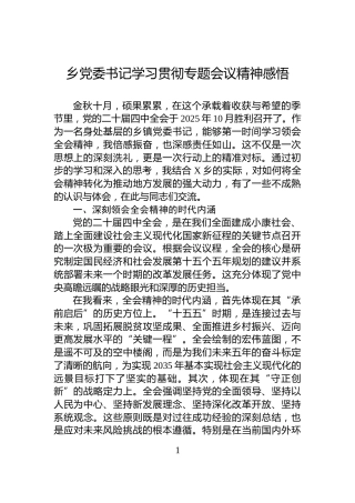 乡党委书记学习贯彻专题会议精神感悟