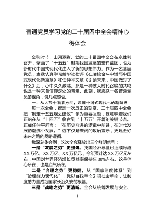 普通党员学习党的二十届四中全会精神心得体会